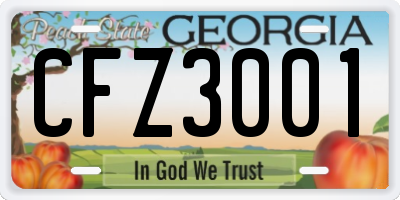 GA license plate CFZ3001
