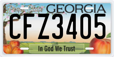 GA license plate CFZ3405