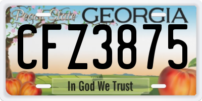 GA license plate CFZ3875