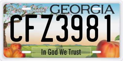 GA license plate CFZ3981