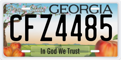 GA license plate CFZ4485