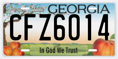 GA license plate CFZ6014