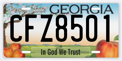 GA license plate CFZ8501