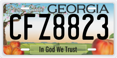 GA license plate CFZ8823