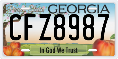 GA license plate CFZ8987