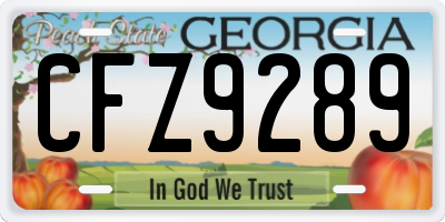 GA license plate CFZ9289