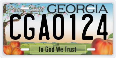 GA license plate CGA0124