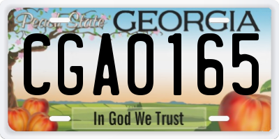 GA license plate CGA0165