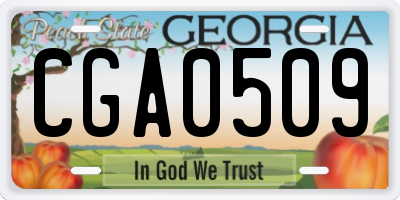 GA license plate CGA0509