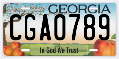 GA license plate CGA0789