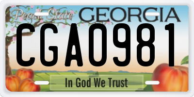 GA license plate CGA0981