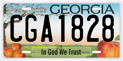 GA license plate CGA1828