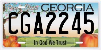 GA license plate CGA2245