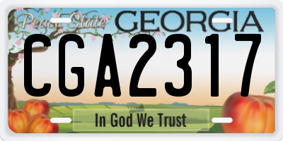 GA license plate CGA2317