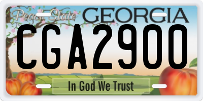 GA license plate CGA2900