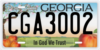 GA license plate CGA3002