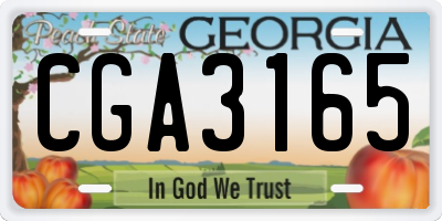 GA license plate CGA3165