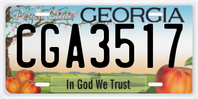 GA license plate CGA3517