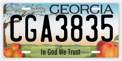 GA license plate CGA3835