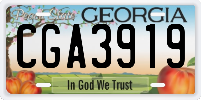GA license plate CGA3919