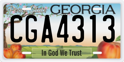 GA license plate CGA4313
