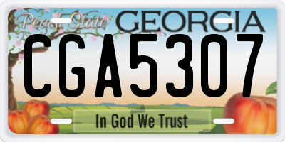 GA license plate CGA5307