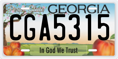 GA license plate CGA5315