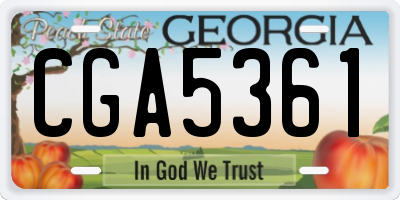 GA license plate CGA5361