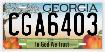 GA license plate CGA6403