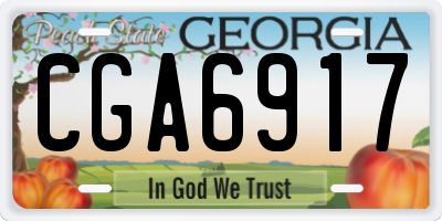 GA license plate CGA6917