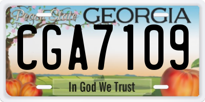 GA license plate CGA7109