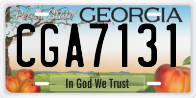GA license plate CGA7131