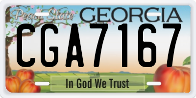 GA license plate CGA7167