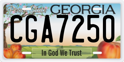 GA license plate CGA7250
