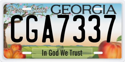 GA license plate CGA7337
