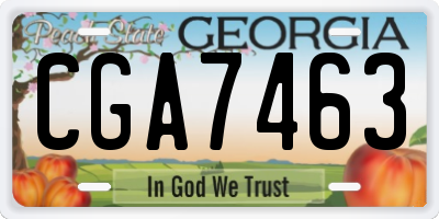 GA license plate CGA7463