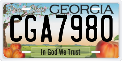 GA license plate CGA7980