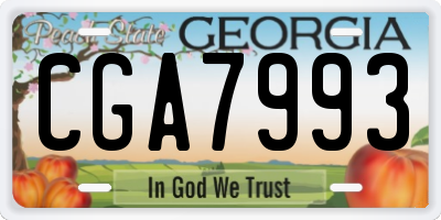 GA license plate CGA7993