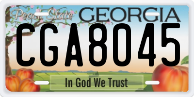 GA license plate CGA8045