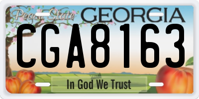 GA license plate CGA8163