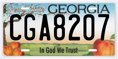GA license plate CGA8207
