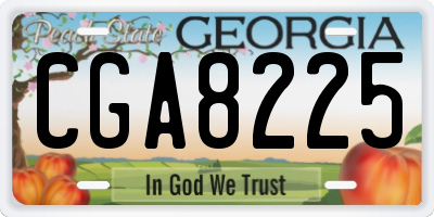 GA license plate CGA8225
