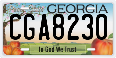 GA license plate CGA8230
