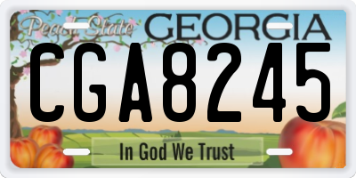 GA license plate CGA8245