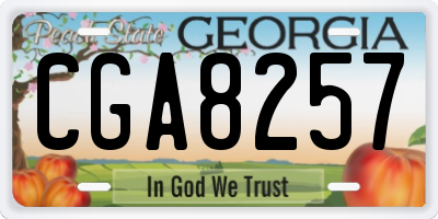 GA license plate CGA8257
