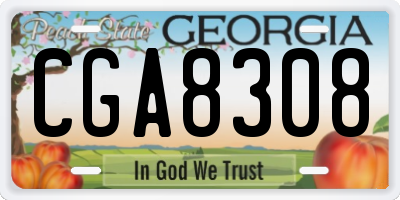 GA license plate CGA8308