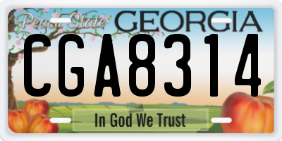 GA license plate CGA8314