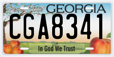GA license plate CGA8341