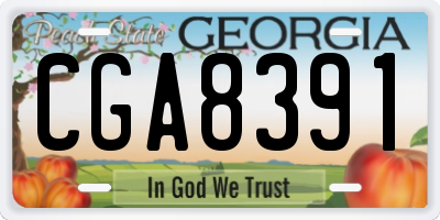 GA license plate CGA8391