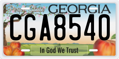 GA license plate CGA8540